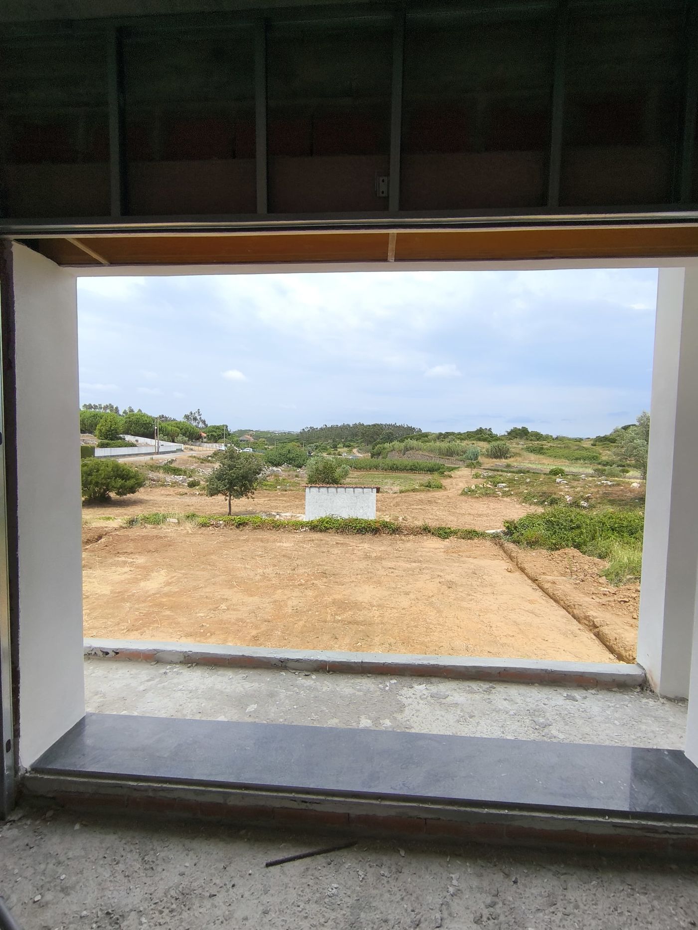 Ausblick vom Fenster aufs Grundstück